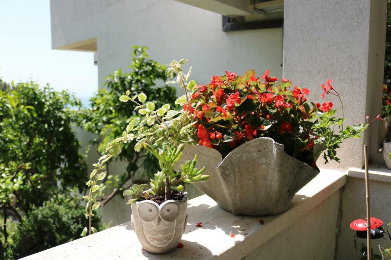 Beautifull sea view apartment Baška Voda Exterior foto